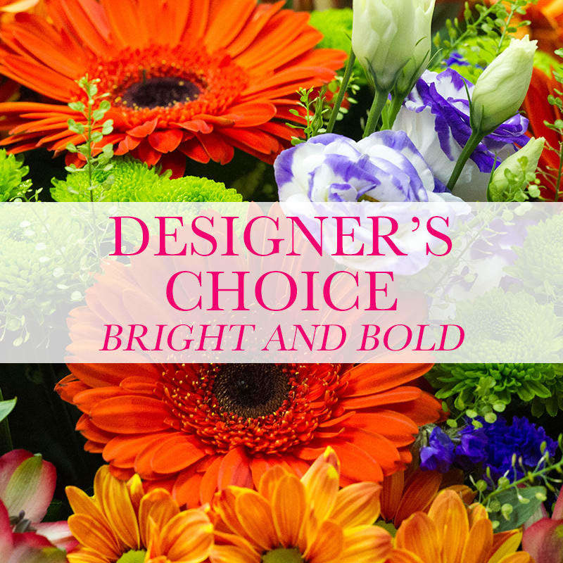 Designers Choice Bright and Bold